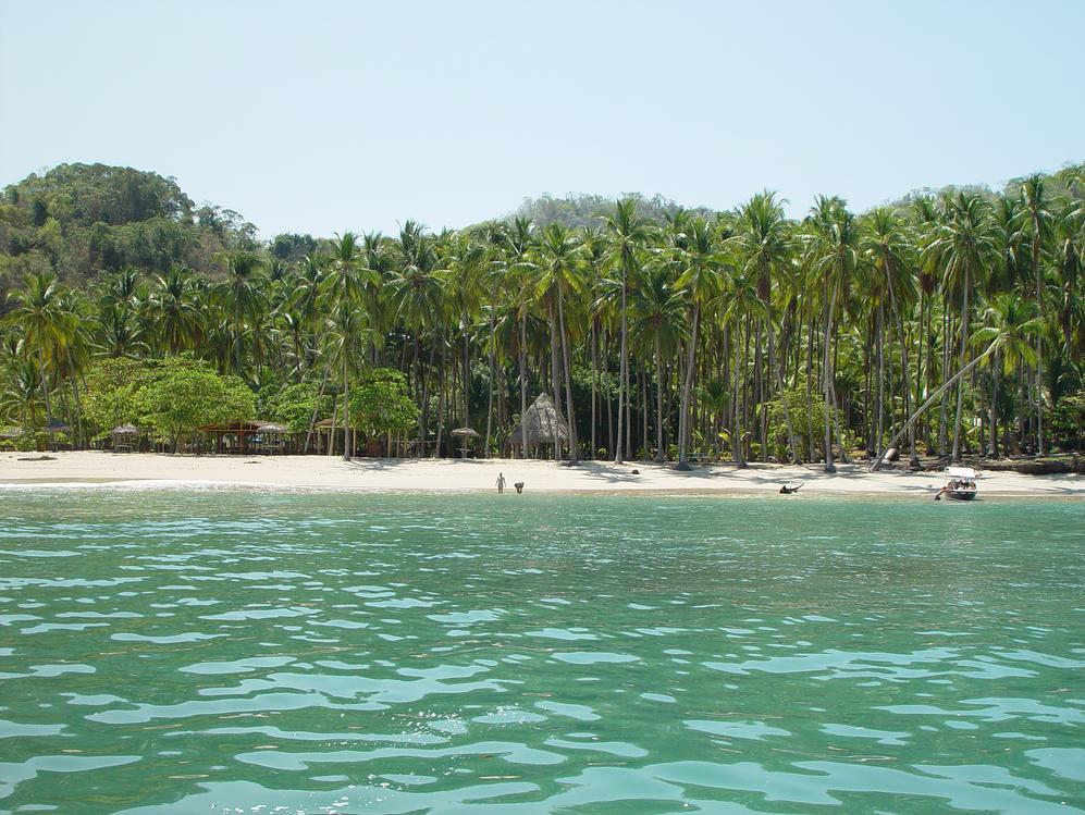 plage de sable blanc avec des cocotiers au Costa Rica à proximité de Puntarenas