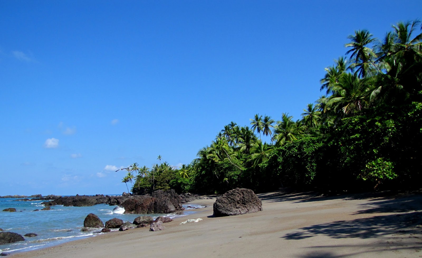 Corcovado, Osa, Costa Rica