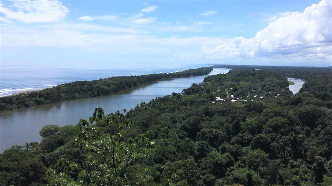 Paysage regroupant l'océan, les canaux, la jungle luxuriante et le village de tortuguero au Costa Rica