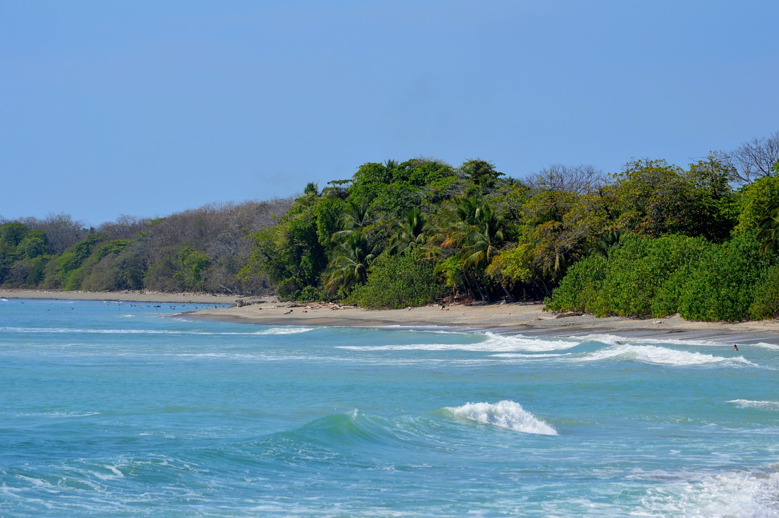 plage, montezuma, Cabo Blanco, réserve, Costa Rica, exploration, visite