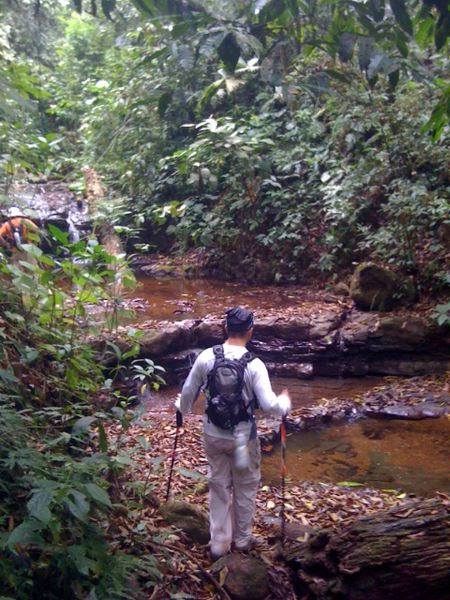 costa rica, forêt, marche, nature, randonnée, découverte, animaux, jungle, cascade, rivière, calme