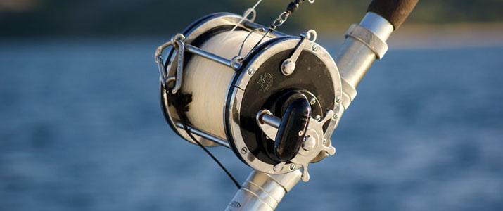 destination, thon jaune, sailfish, cubera, dorado, bluefin trevally, carangue, thazard, poisson, diversité, canne à pêche, matériel, record, IGFA