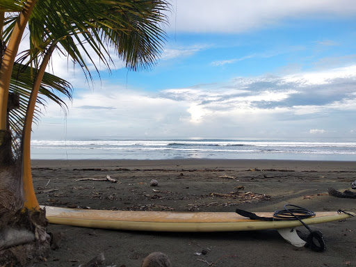 Planche de surf et palmier sur une la plage de sable noir au Costa Rica