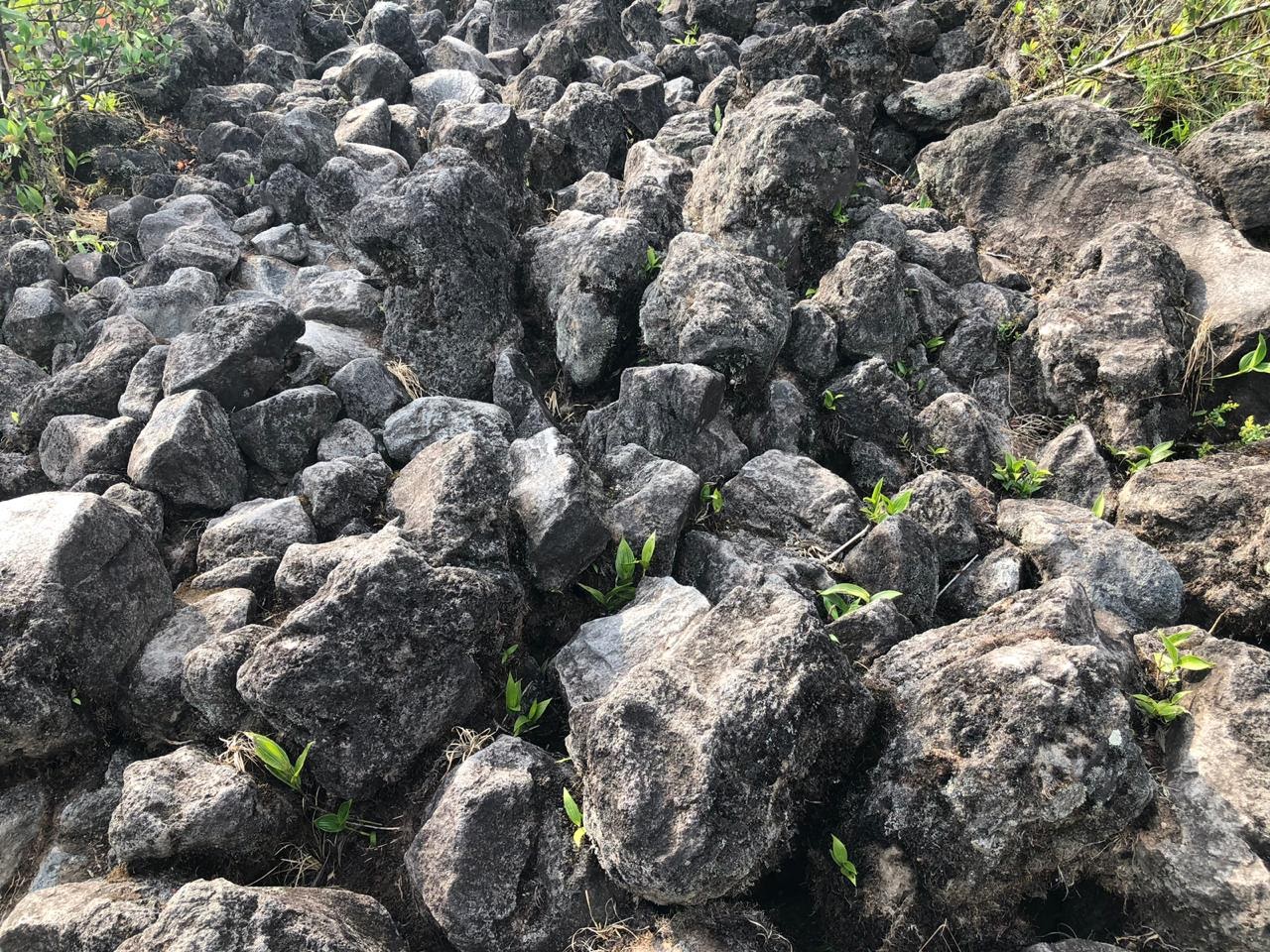 Roche volcanique suite à un tremblement de temps au Costa Rica