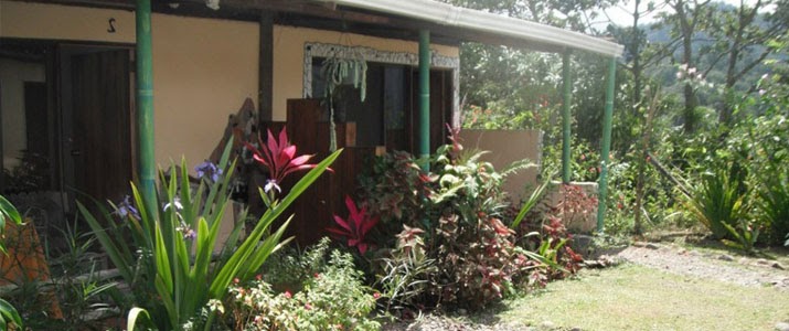 jardin extérieur, liberté, verdure, végétation, soleil, fleurs,