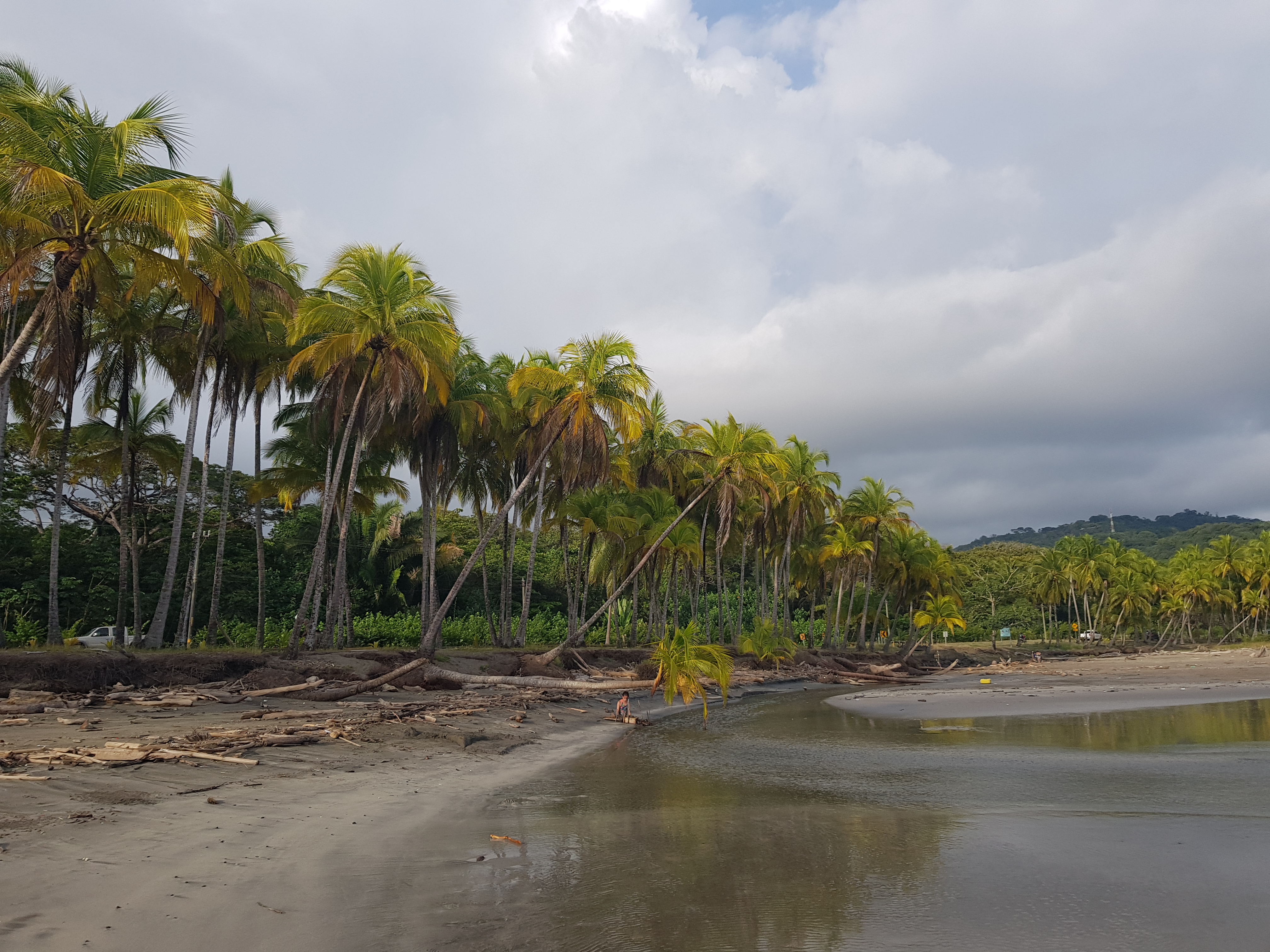Plage de Samara, sable brun, palmiers