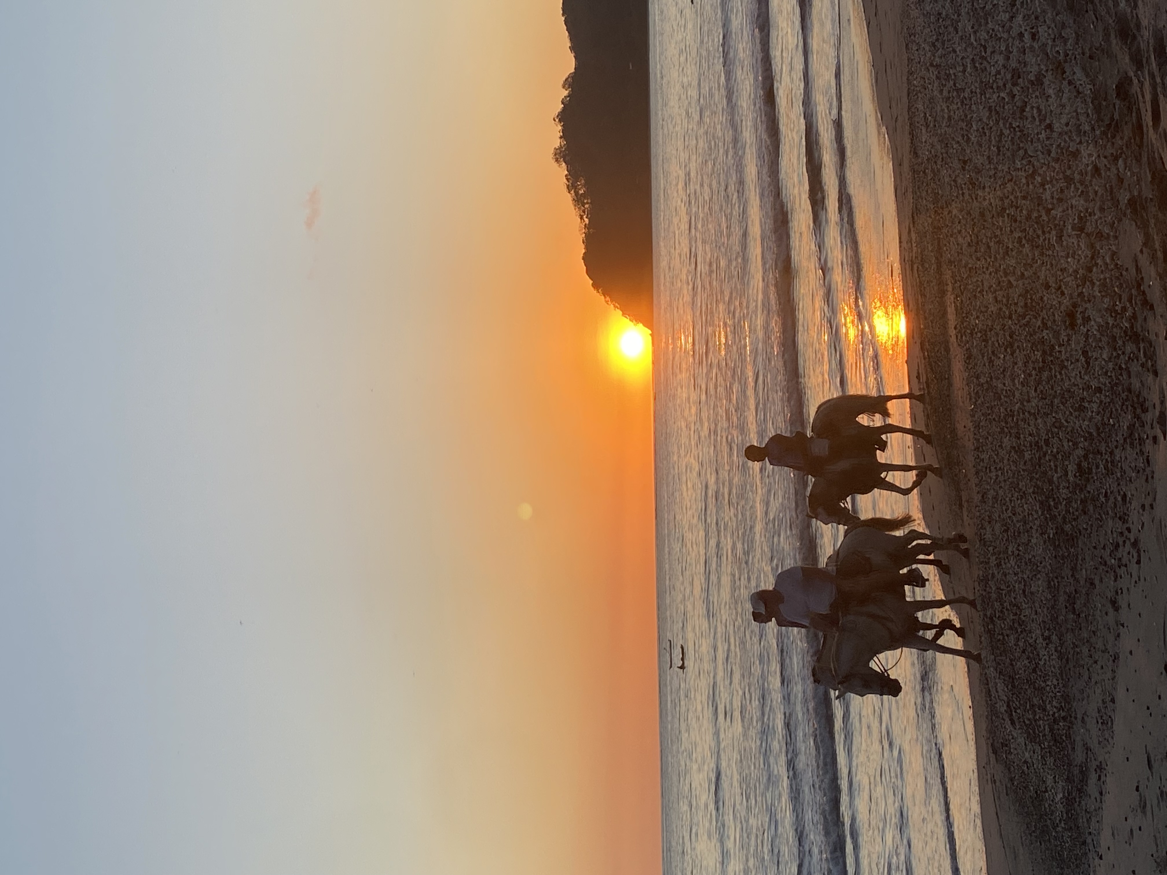 Balade à cheval sur la plage au coucher de soleil Samara côté Pacifique