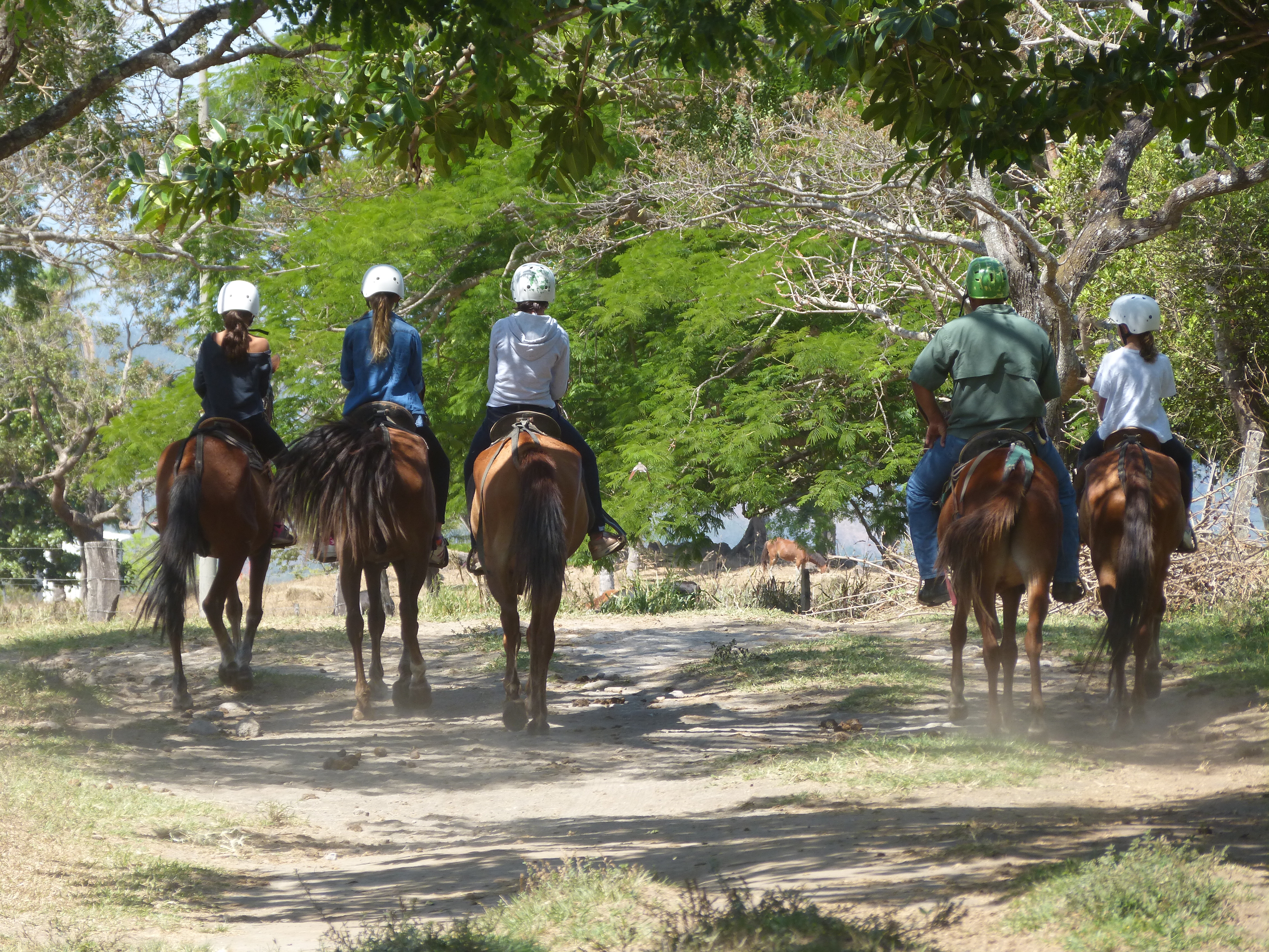 Balade à cheval en montagne