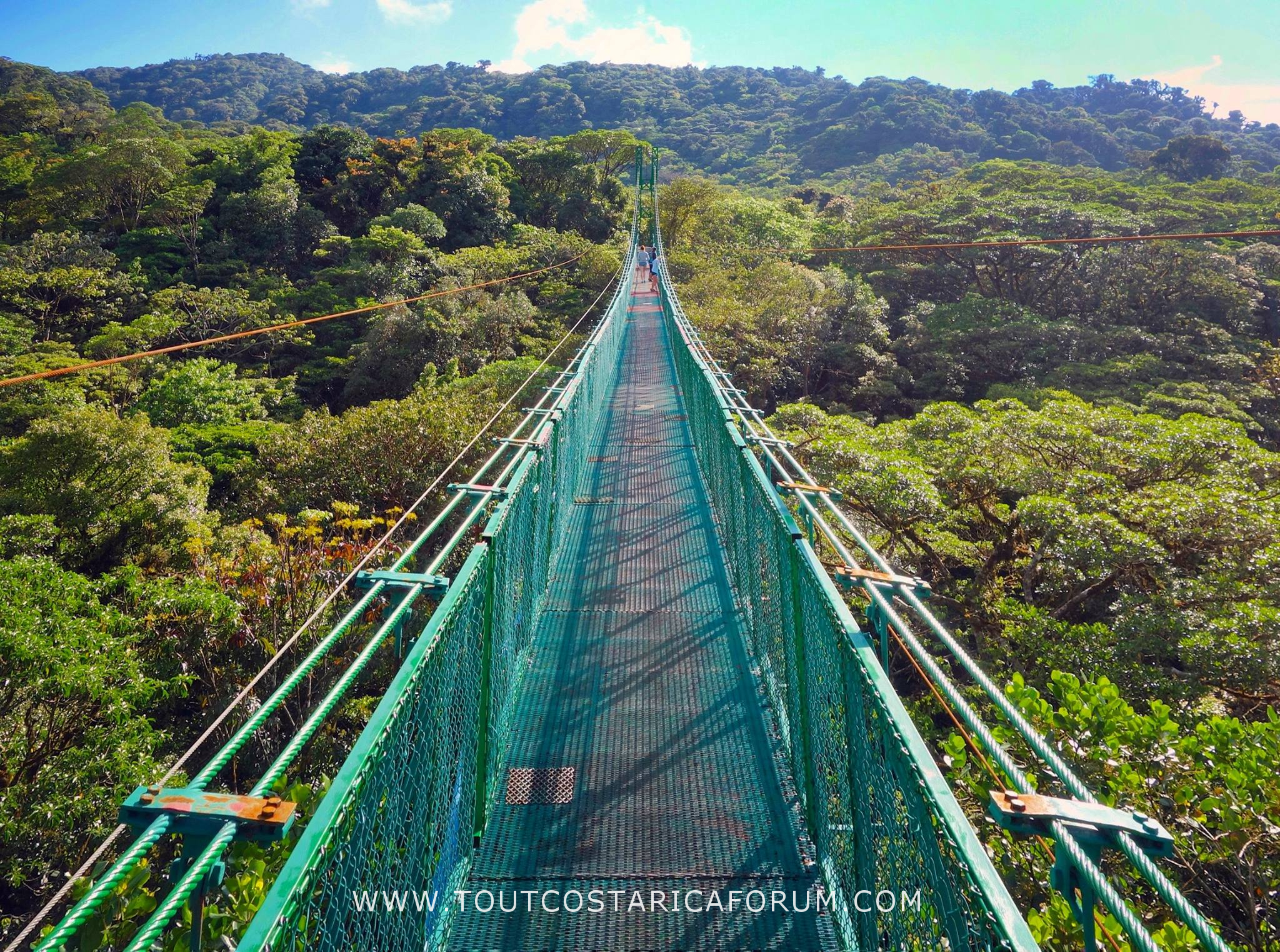Voyage 3 semaines au Costa Rica, vacances, pont suspendu, foret, monteverde, exploration, aventure,