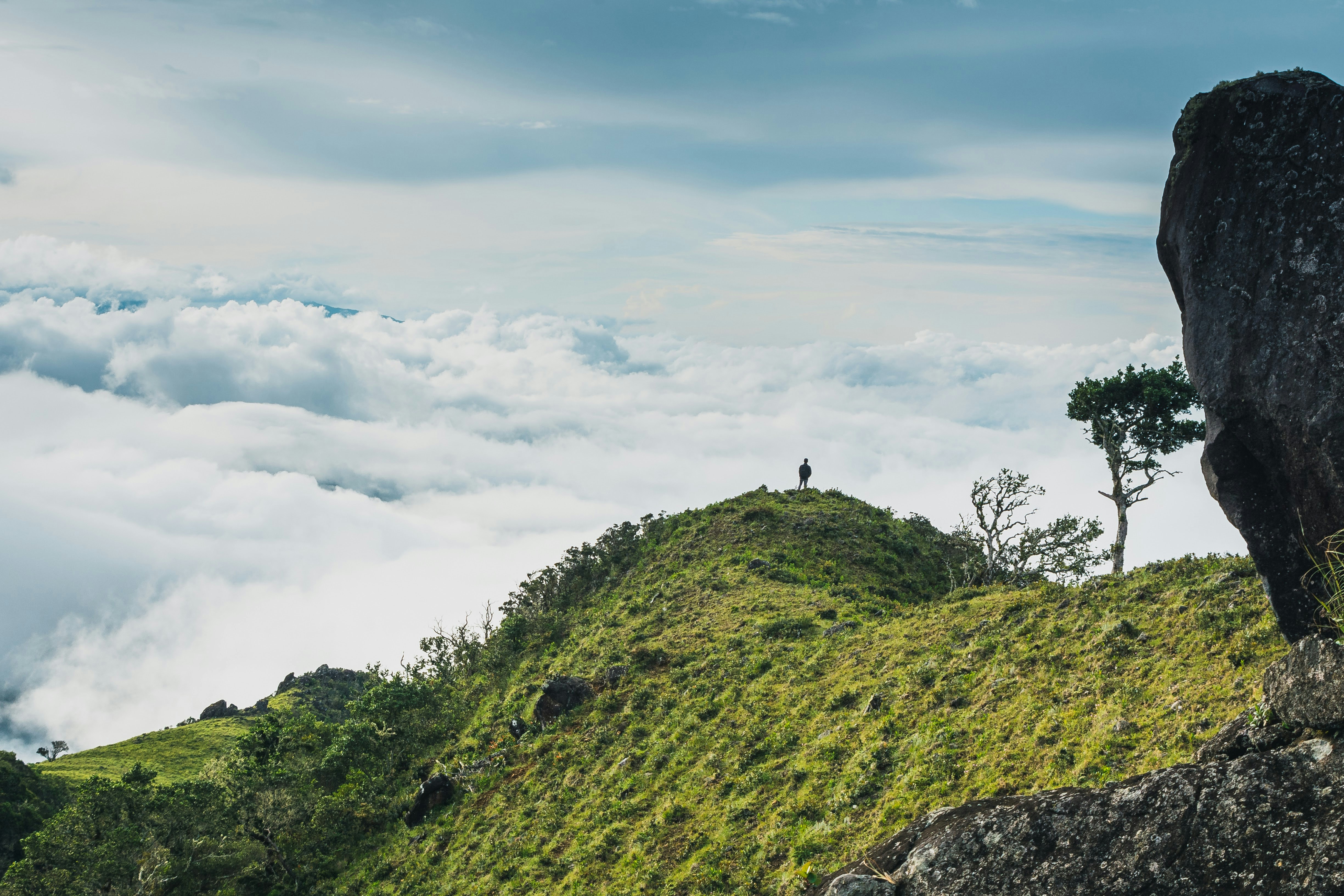 Sur les hauteurs du parc international La Amistad, au dessus des nuages.
