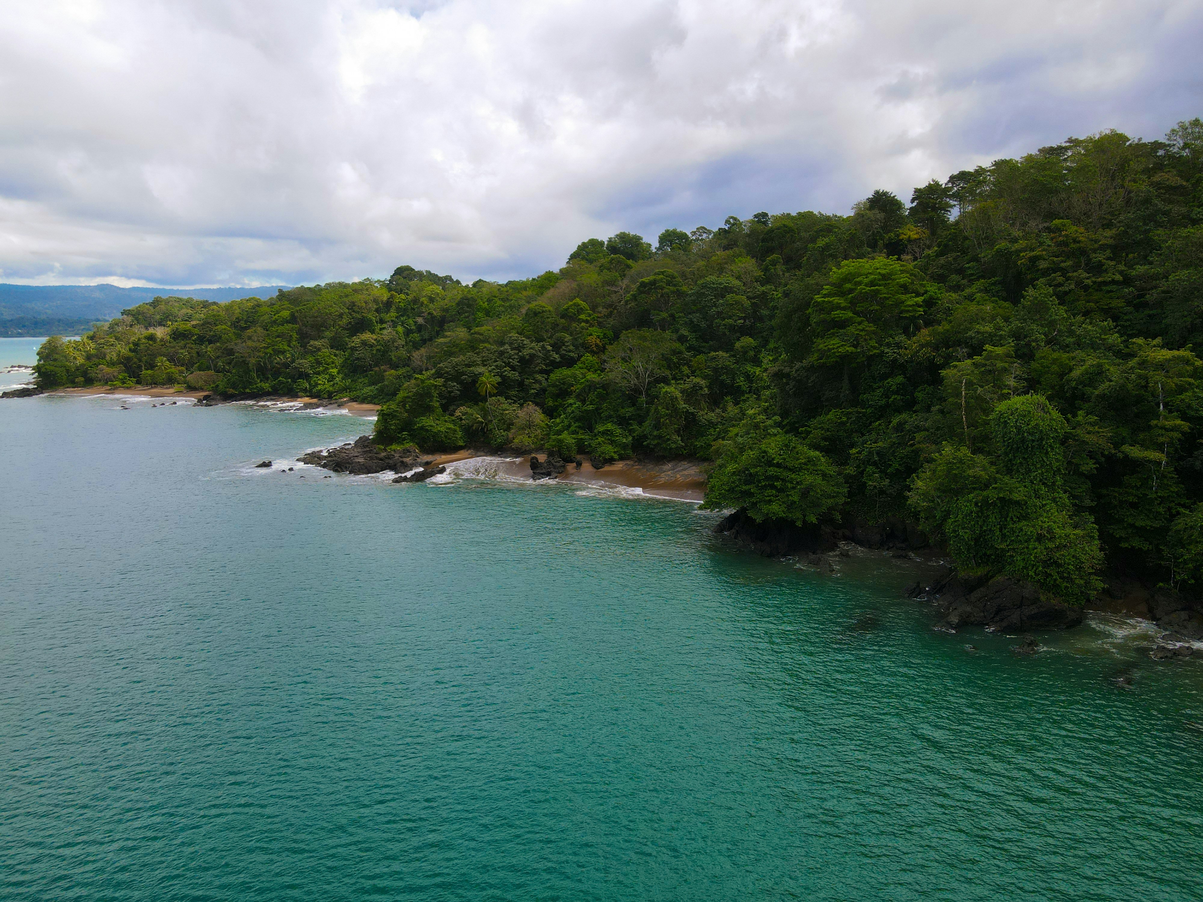 bahia drake