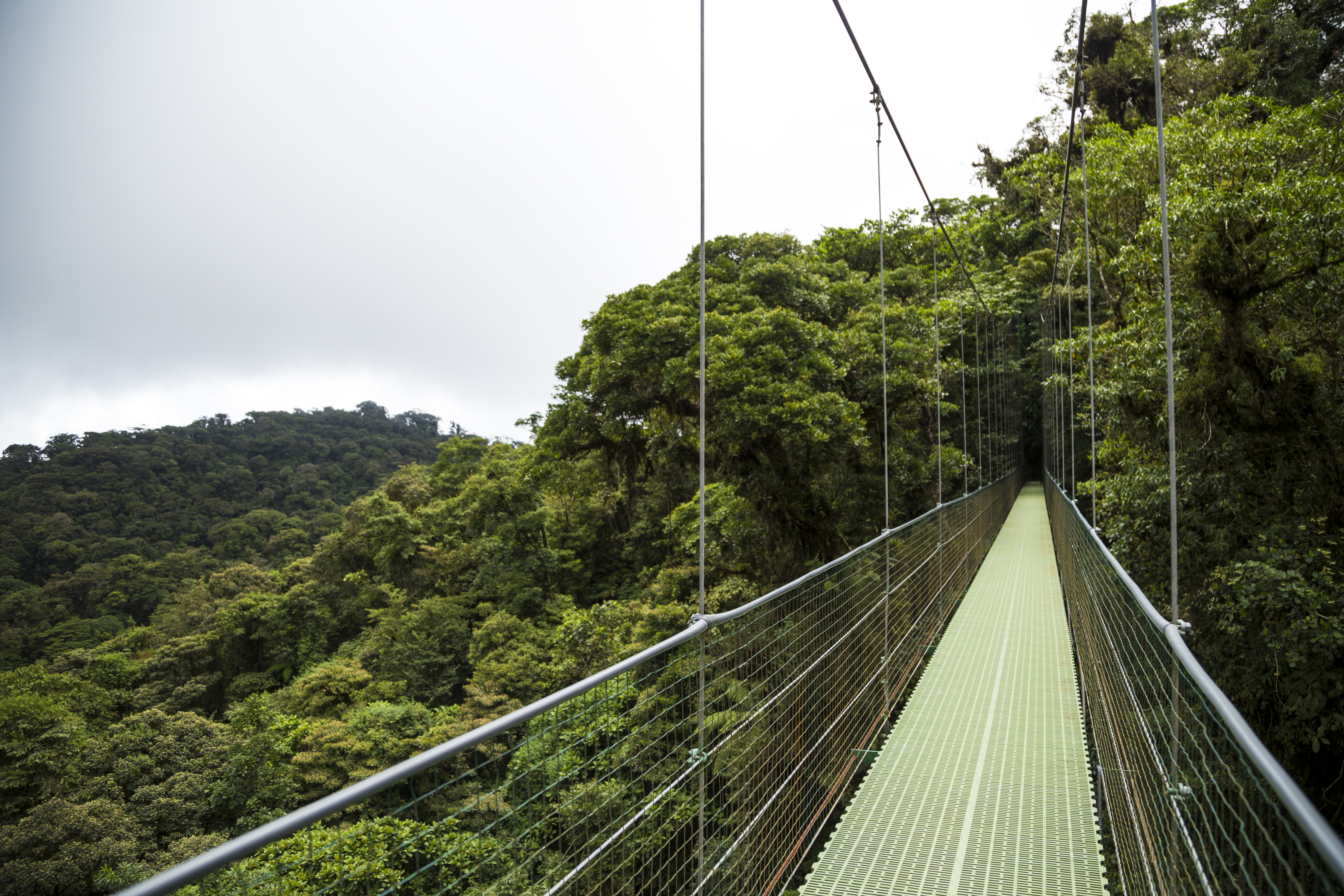 tyrolienne, canopy, canopée, Monteverde, Costa Rica, aventure