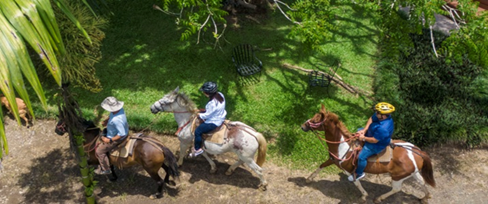 balade, cheval, turrialba, nature