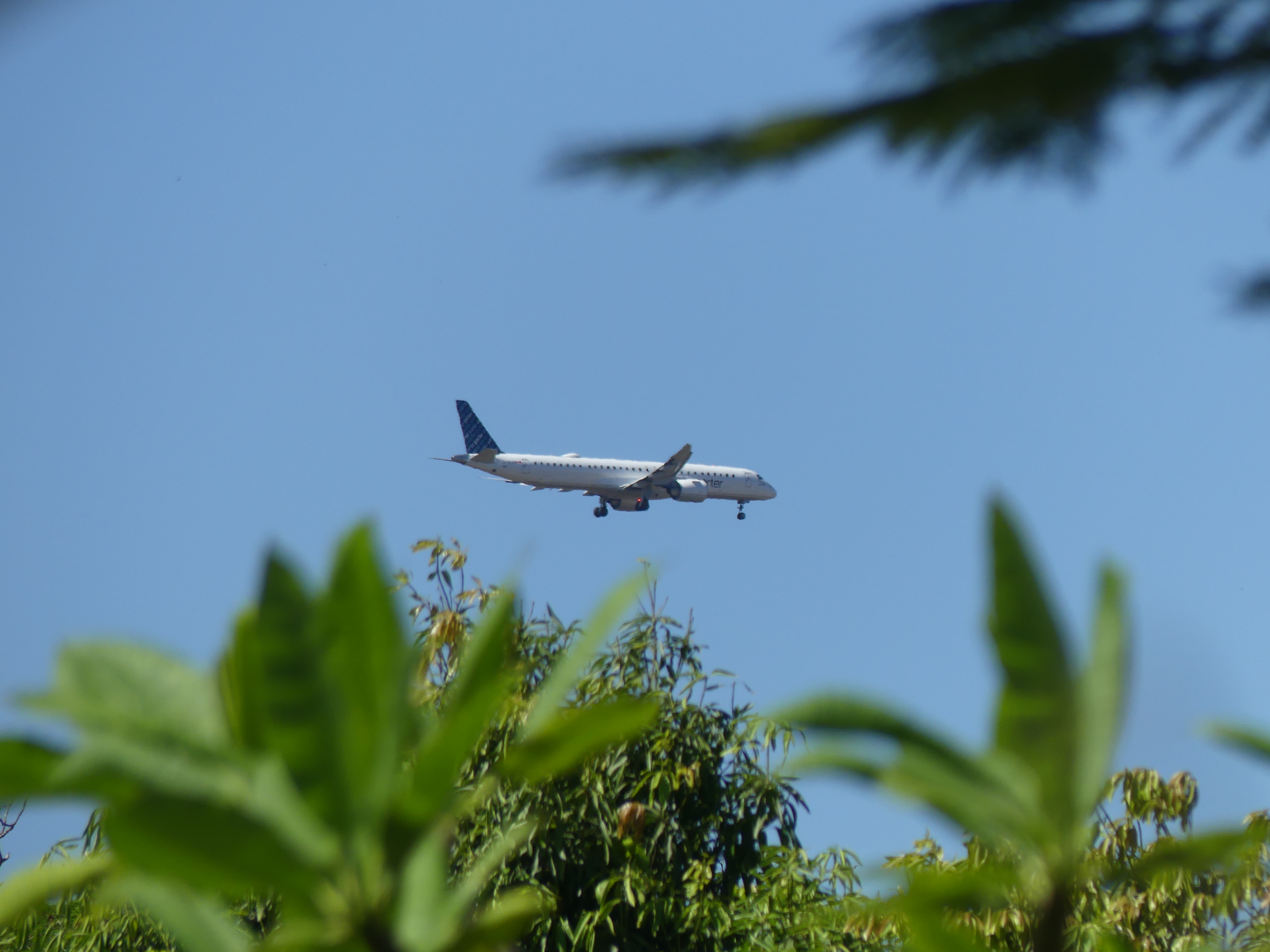 costa rica, vols, avions, aéroport lir, porter airlines