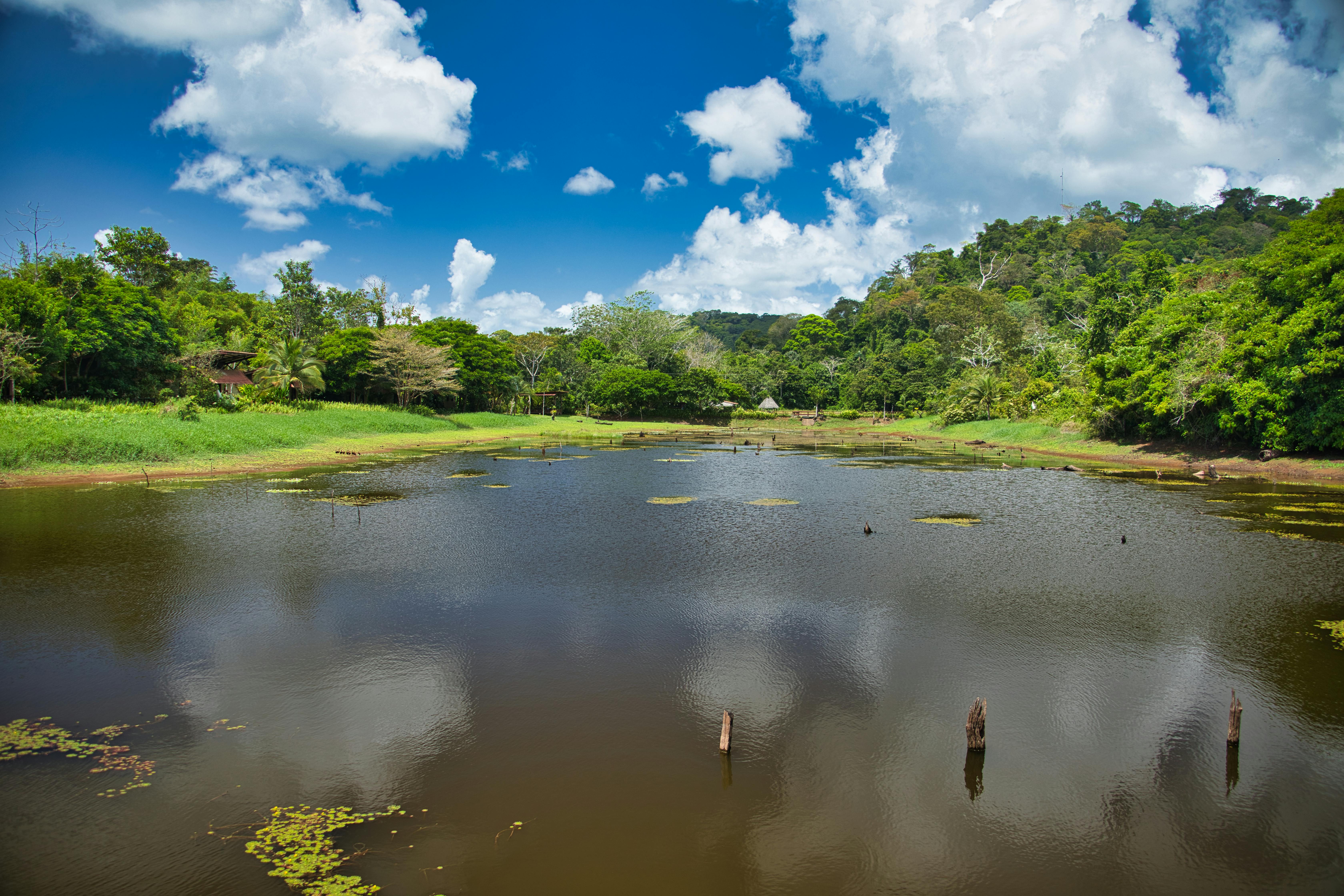 Boca Tapada Costa Rica biodiversité oiseaux canaux