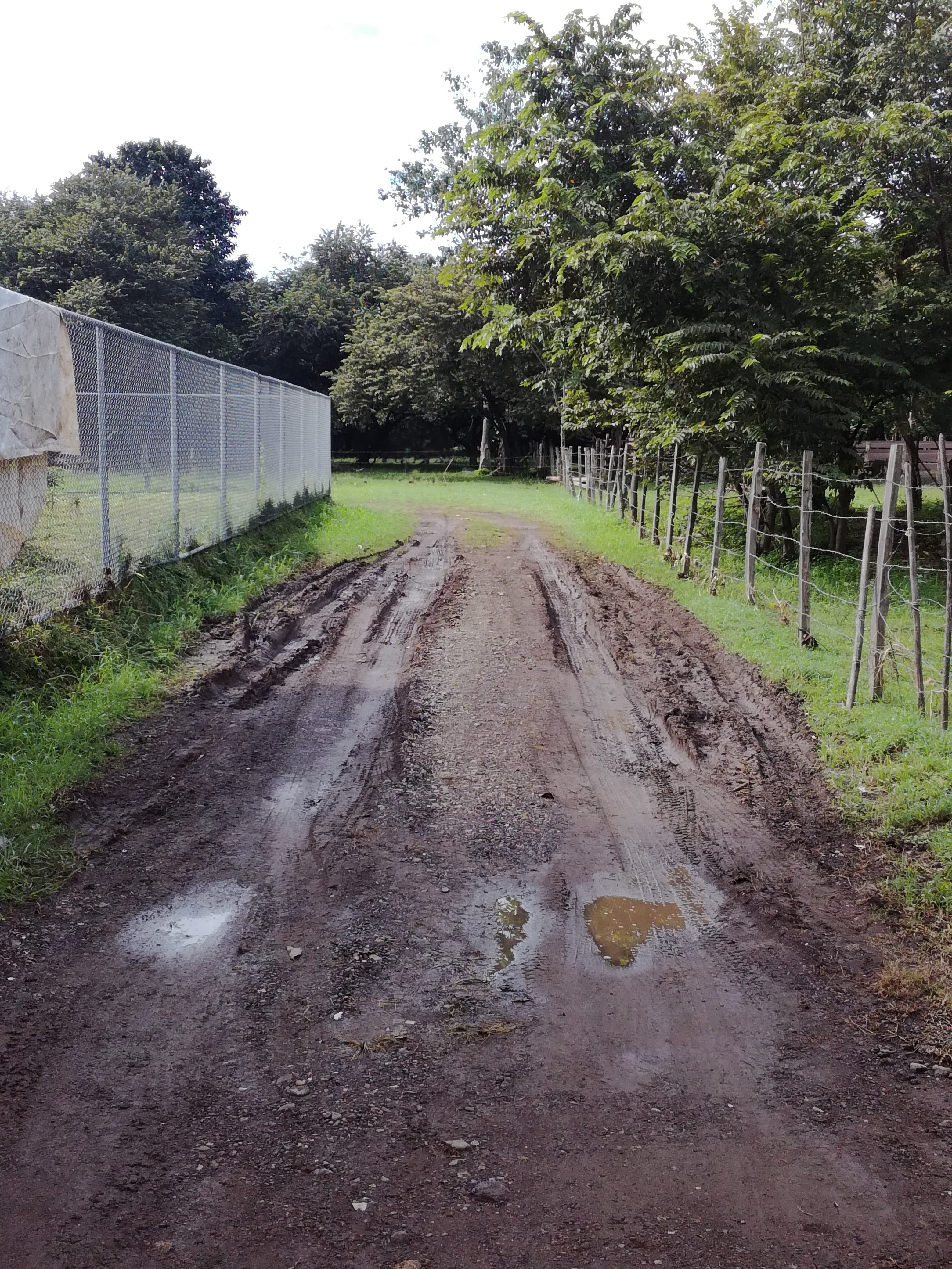 costa rica, piste, boue